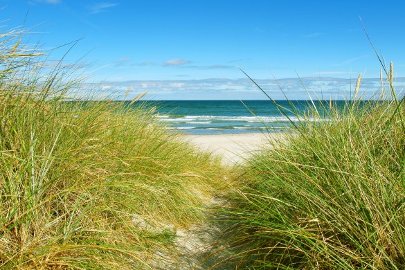 Traumhafter Sandstrand mit Dünen in Breege auf Rügen